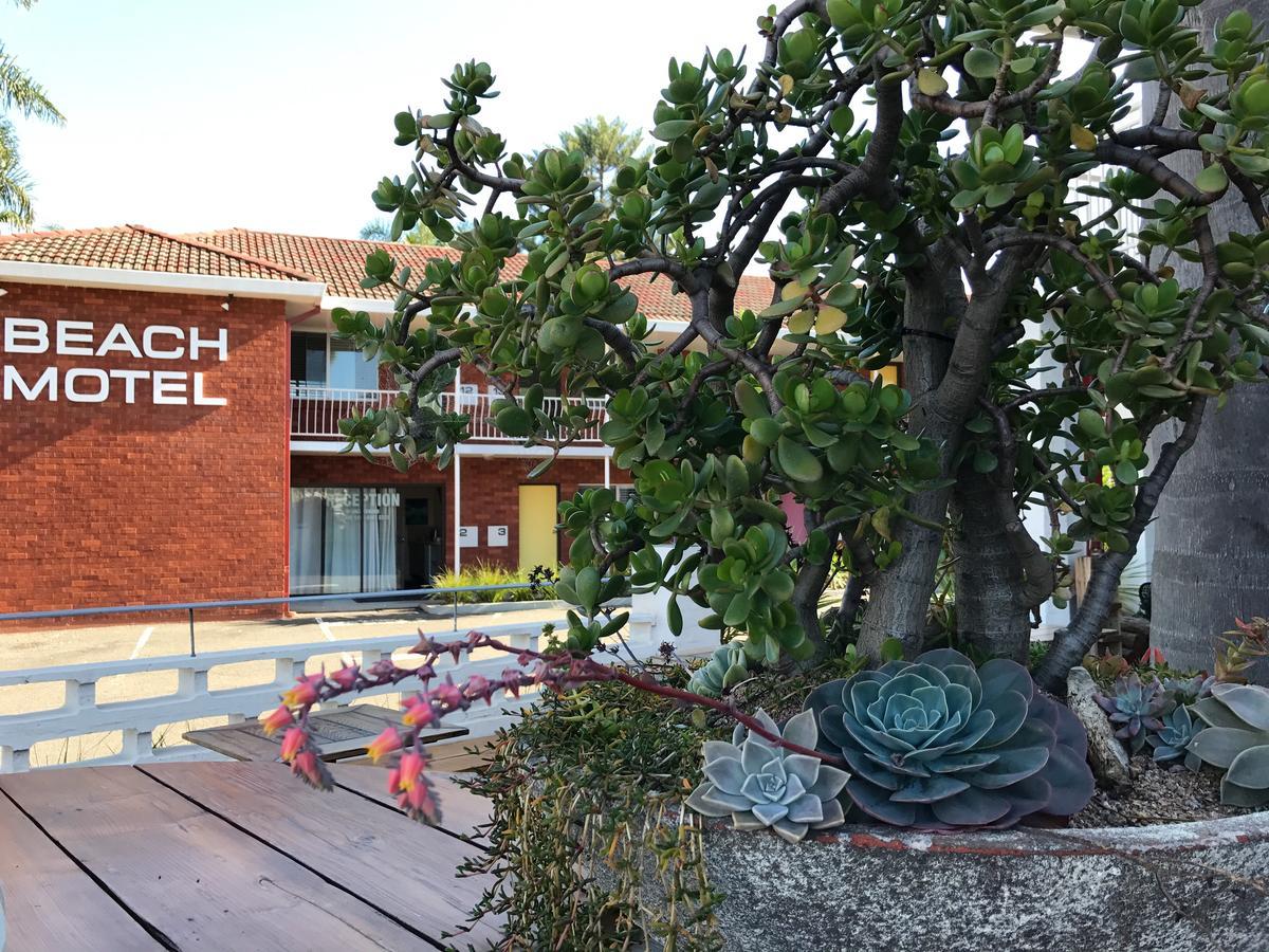 Thirroul Beach Motel Экстерьер фото